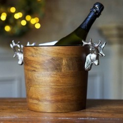 Champagne Buckets & Wine Coolers