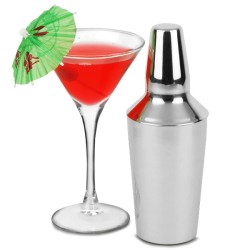 Mini Shaker Manhattan από Ανοξείδωτο Ατσάλι 280ml