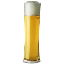 Ποτήρι Μπύρας Regal Reusable Πλαστικό 380ml